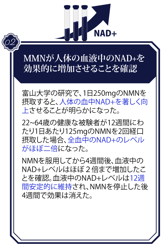 NMN-news_2_1