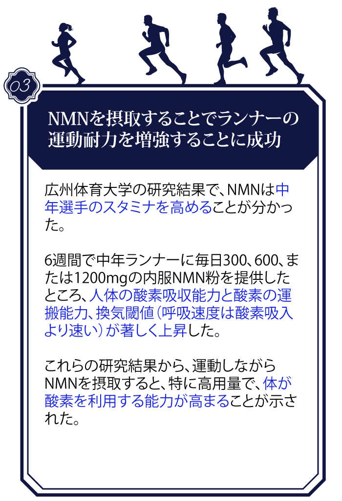 NMN-news_3_1