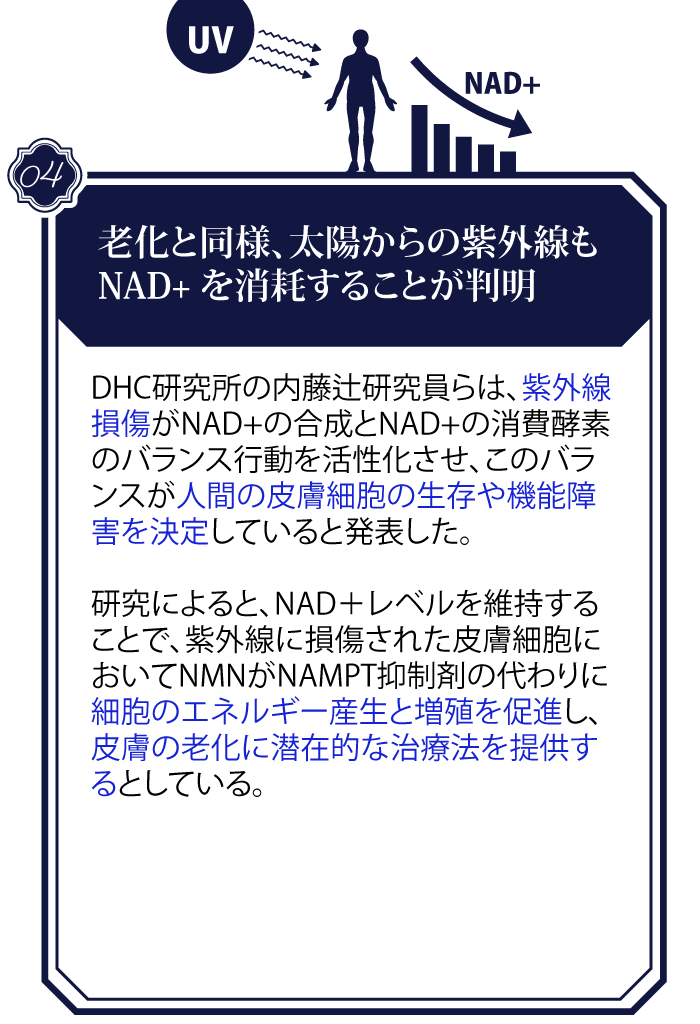 NMN-news_4_1