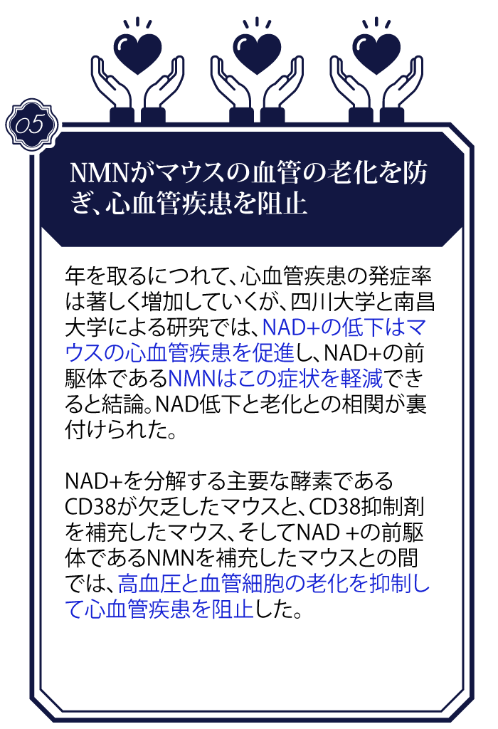 NMN-news_5_1