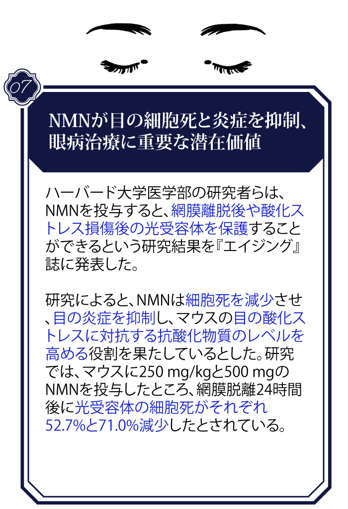 NMN-news_7_1