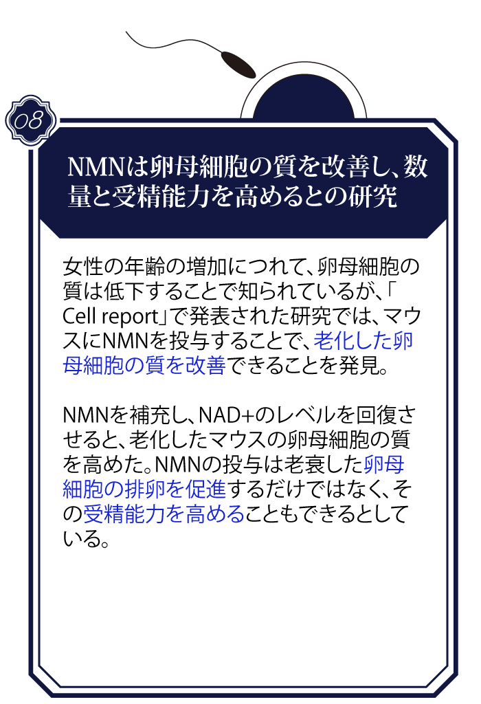 NMN-news_8_1