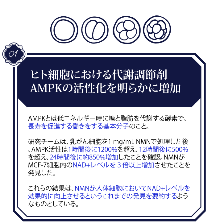 NMN-news_pc1_1