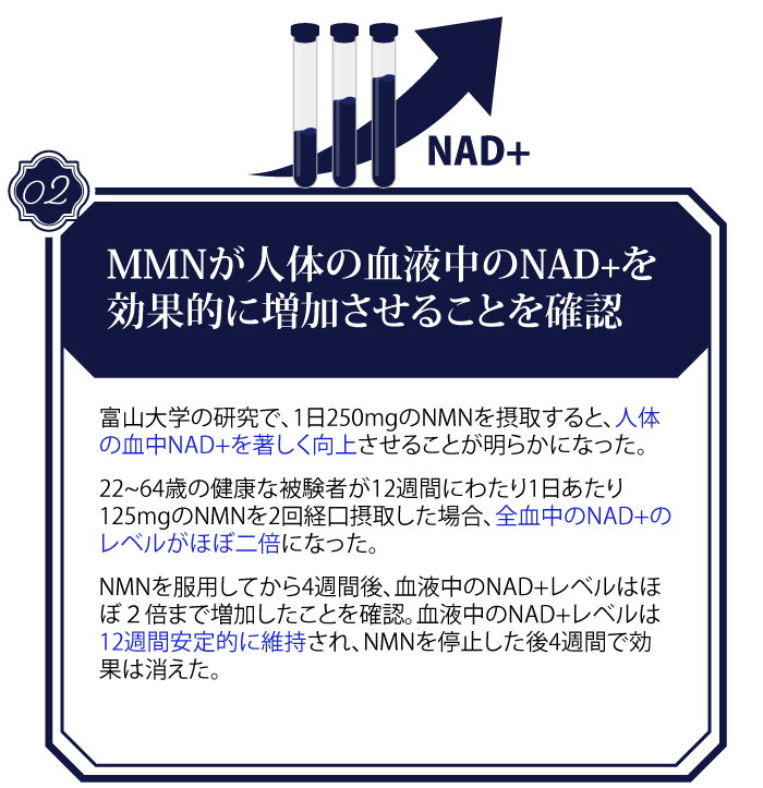 NMN-news_pc2_1