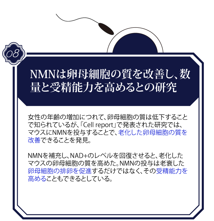 NMN-news_pc8_1